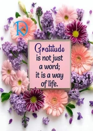 Gratitude is not just a word; it is a way of life.