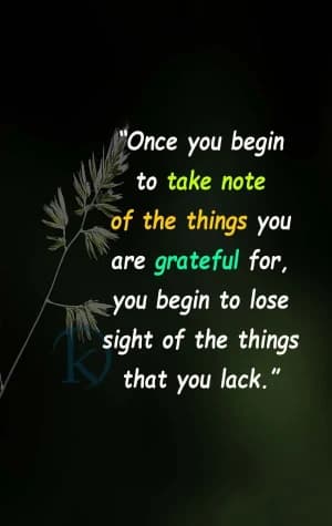 Once you begin to take note of the things you are grateful for, you begin to lose sight of the things that you lack.