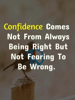 Confidence comes not from always being right but not fearing to be wrong.