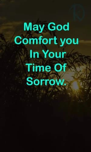 May God comfort you in your time of sorrow.