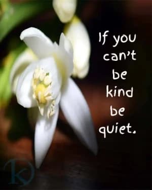 If you can't be kind, be quiet.