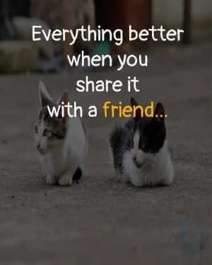 Everything is better when you share it with a friend...