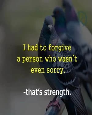 I had to forgive a person who wasn't even sorry. That's a strength.