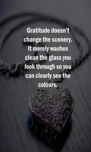 Gratitude doesn't change the scenery. It merely washes clean the glass you look through, so you can clearly see the colors.