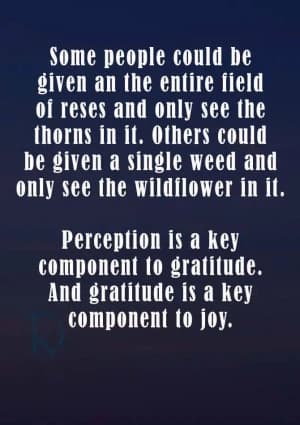 Some people could be given an entire field of roses and only see the thorns in it. Others could be given a single weed and only see the wildflower in it. Perception is a key component to gratitude. And gratitude is a key component to joy.
