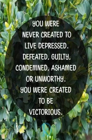 You were never created to live depressed, defeated, guilty, condemned, ashamed, or unworthy. You were created to be victorious.