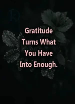 Gratitude turns what you have into enough.