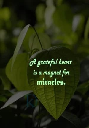 A grateful heart is a magnet for miracles.