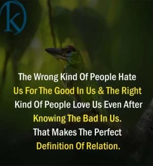 The Wrong Kind Of People Hate Us For The Good In Us & The Right Kind Of People Love Us Even After Knowing The Bad In Us. That Makes The Perfect Definition Of Relation.