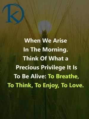 When we arise in the morning, think of what a precious privilege it is to be alive: to breathe, to think, to enjoy, to love.