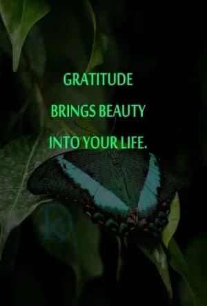 Gratitude brings beauty into your life.