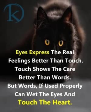 Eyes express the real feelings better than touch. Touch shows the care better than words. But words, if used properly, can wet the eyes and touch the heart.