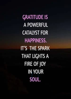 Gratitude is a powerful catalyst for happiness. It's the spark that lights a fire of joy in your soul.