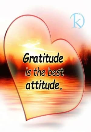 Gratitude is the best attitude.