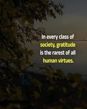 In every class of society, Gratitude is the rarest of all human virtues.