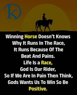 Winning horse doesn't know why it runs in the race; it runs because of the beat and pain. Life is a race, God is our rider, so if we are in pain, then think, God wants us to win, so be positive.
