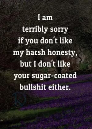 I am terribly sorry if you don't like my harsh honesty, but I don't like your sugar-coated bullshit either.