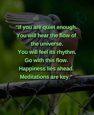 If you are quiet enough, you will hear the flow of the universe. You will feel its rhythm. Go with this flow. Happiness lies ahead. Meditations are key.