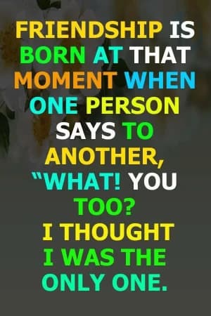 Friendship is born at that moment when one person says to another, "What! You too? I thought I was the only one."