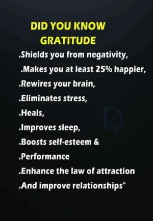 Did You Know Gratitude? Shields you from negativity. Makes you at least 25% happier, rewires your brain. Eliminates stress. Heals. Improves sleep, boosts self-esteem & performance. Enhances the law of attraction. And improves relationships.