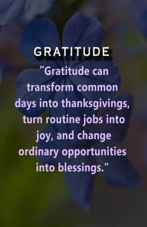 Gratitude: Gratitude can transform common days into thanksgivings, turn routine jobs into joy, and change ordinary opportunities into blessings.