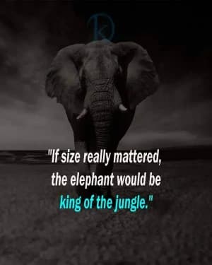 If size really mattered, the elephant would be king of the jungle.
