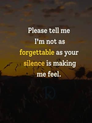 Please tell me I'm not as forgettable as your silence is making me feel.