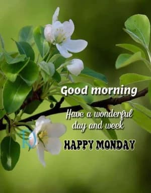 Good morning. Have a wonderful day and week. Happy Monday.