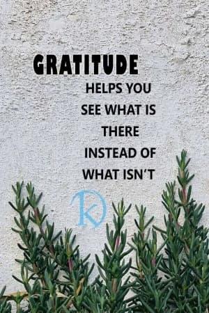 Gratitude helps you see what is there instead of what isn't.