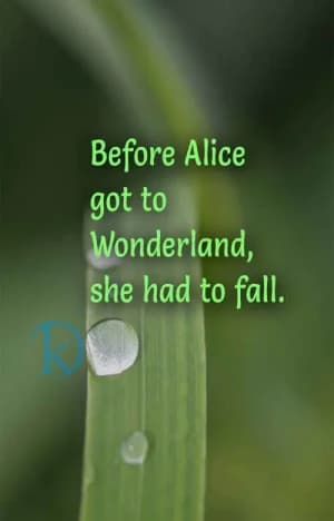 Before Alice got to Wonderland, she had to fall.