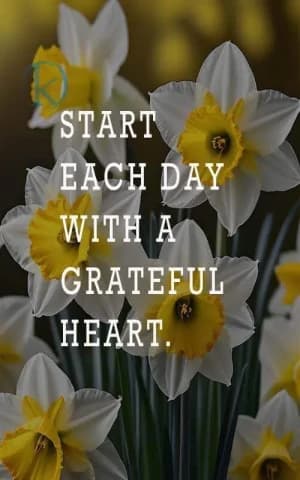 START EACH DAY WITH A GRATEFUL HEART.