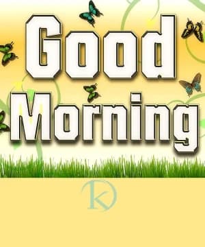 Good Morning