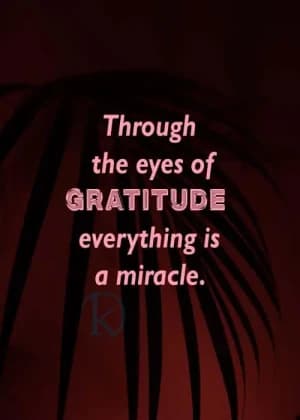 Through the eyes of gratitude, everything is a miracle.