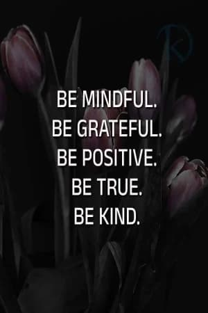 BE mindful. BE grateful. BE positive. BE true. BE kind.