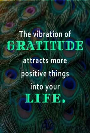 The vibration of gratitude attracts more positive things into your life.
