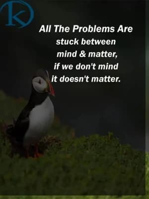 All the problems are stuck between mind & matter, if we don't mind it doesn't matter.