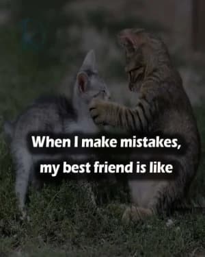 When I make mistakes, my best friend is like.