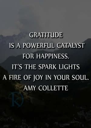 Gratitude is a powerful catalyst for happiness. It's the spark that lights a fire of joy in your soul. Amy Collette.