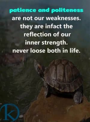 Patience and politeness are not our weaknesses. They are, in fact, a reflection of our inner strength. Never lose both in life.