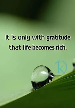 It is only with gratitude that life becomes rich.