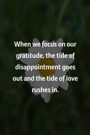 When we focus on our gratitude, the tide of disappointment goes out, and the tide of love rushes in.