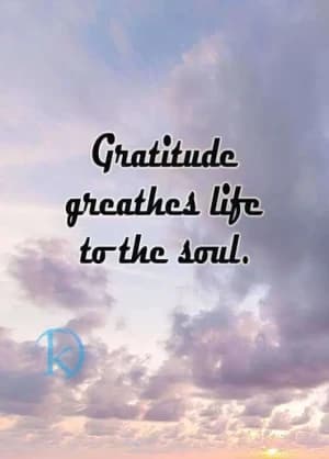Gratitude breathes life into the soul.