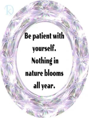 Be patient with yourself. Nothing in nature blooms all year.