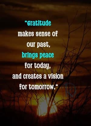 Gratitude makes sense of our past, brings peace for today, and creates a vision for tomorrow.