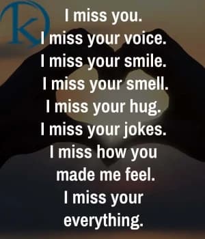 I miss you. I miss your voice. I miss your smile. I miss your smell. I miss your hug. I miss your jokes. I miss how you made me feel. I miss your everything.