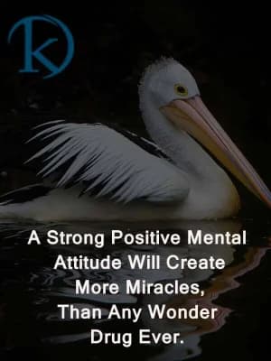 A strong positive mental attitude will create more miracles than any wonder drug ever.