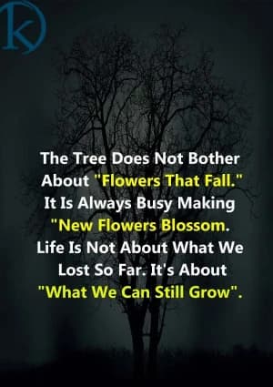 The tree does not bother about "flowers that fall." It is always busy making "new flowers blossom". Life is not about what we lost so far. It's about "what we can still grow".