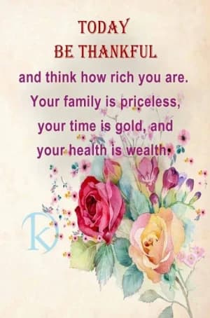 TODAY BE THANKFUL and think how rich you are.  Your family is priceless, your time is gold, and your health is wealth.