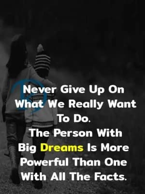 Never give up on what we really want to do. The person with big dreams is more powerful than one with all the facts.