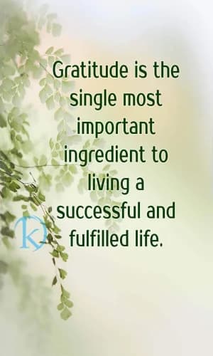Gratitude is the single most important ingredient to living a successful and fulfilled life.